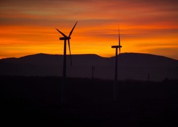 Portugal é o quinto país da AIE com maior percentagem de renováveis