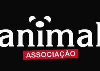 Campanha europeia para proibir testes em animais para produtos de higiene doméstica