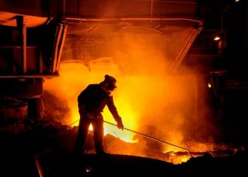 Maior metalúrgica do mundo vai utilizar micróbios do intestino dos coelhos para diminuir as emissões