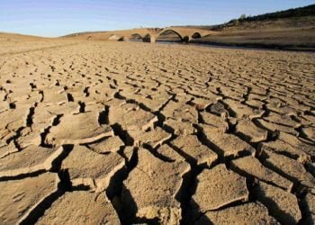 Seca em Moçambique coloca mais de 135 mil pessoas em situação de insegurança alimentar