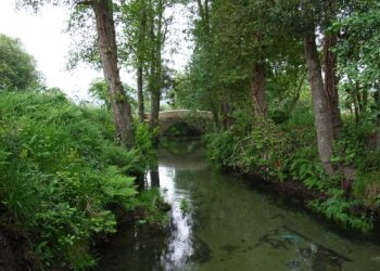 Aprovada delimitação da reserva ecológica de Gondomar