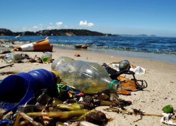 Gaia e SUMA promovem acções de limpeza nas praias de Gaia