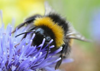 Dispara energia feita por gás natural