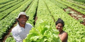 Dinamarca: o primeiro país que, por lei, só terá agricultura biológica