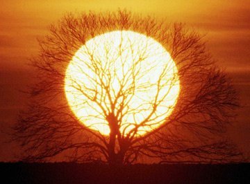 ZERO: Estratégia Nacional de Adaptação Climática sem financiamento e sem calendário definidos