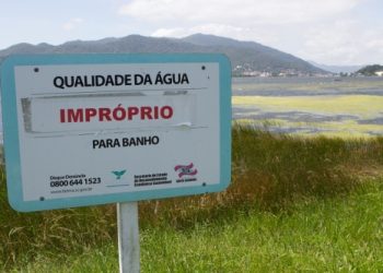 Deco detecta salmonetas em praias fluviais