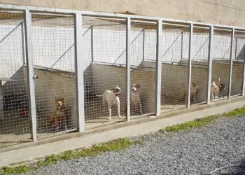 Dispara energia feita por gás natural