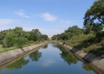 Metade dos cursos de água em Portugal falha meta europeia de qualidade