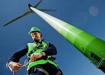 JEVE quer impulsionar a empregabilidade verde jovem