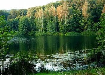 Dispara energia feita por gás natural