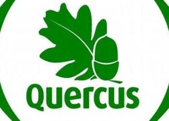 Quercus entrega petição pela proibição da caça da rola-brava