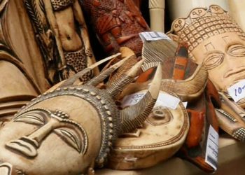 Tailândia destrói mais de duas toneladas de marfim