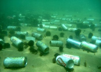 “Fundo do mar é um caixote do lixo”