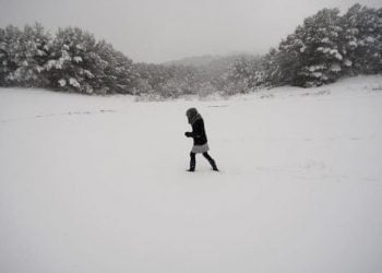 Cientistas prevêem uma microidade do gelo a partir de 2030