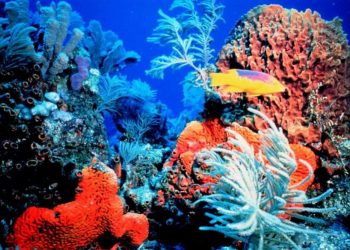 Dispara energia feita por gás natural