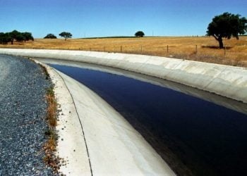 Elevado preço da água em Alqueva leva muitos agricultores a deixar as culturas regadas