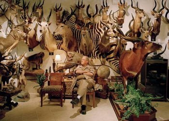 Comércio ilegal de espécies rende mais de 10 mil milhões de euros