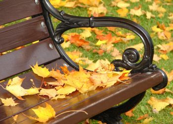 O outono começa hoje com temperaturas de Verão