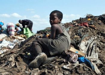 Autoridades divulgam hoje inquérito a despejo de nados-mortos em lixeira de Maputo