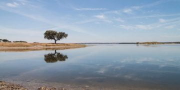 Alqueva torna-se exemplo de sustentabilidade