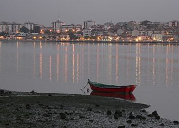 Seixal admitido à VI fase da Rede Europeia de Cidades Saudáveis