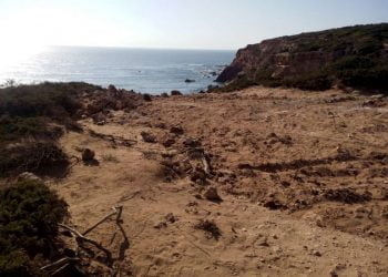 ICNF acha que não tem “qualquer relevância” romper arriba fóssil junto a geomonumento