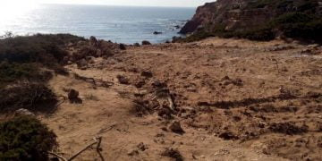 ICNF acha que não tem “qualquer relevância” romper arriba fóssil junto a geomonumento