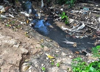 Multas ambientais podem chegar a cinco milhões de euros