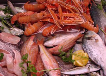 Campanha da WWF pede consumo responsável de peixe para proteger vida marinha