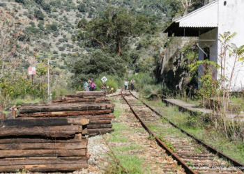 EDP começou a arrancar a Linha do Tua