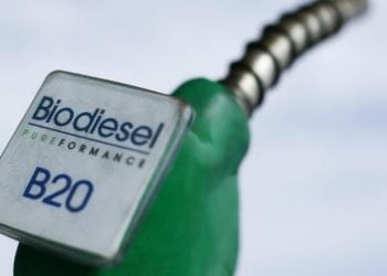Investigadora de Coimbra premiada por tese sobre pegada ambiental do biodiesel