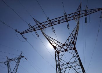 REN já plantou 460 mil árvores para prevenir fogos