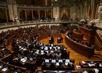 “PAN é mais-valia mas não pode ser radical e pôr em segundo lugar os humanos”