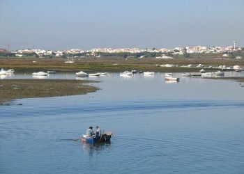 Construção de grande área de estufas junto à ria Formosa embargada