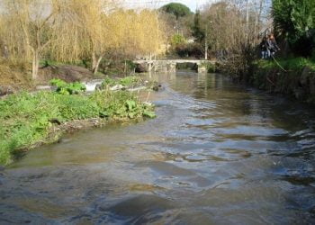 Litros de esgotos caem no rio Selho sempre que chove