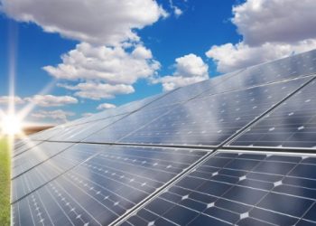 Portuguesa Muki avança com maior projeto solar de sempre no país