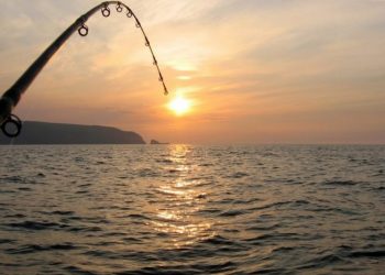 Capturas em águas portuguesas aumentam 11,4% em 2016