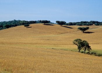 Meteorologia em tempo real no Alentejo