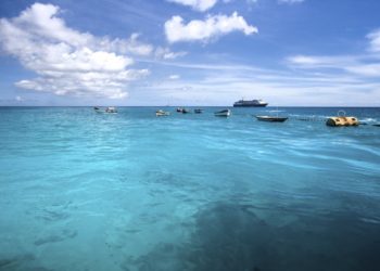 Britânicos criam reserva marinha do tamanho do Reino Unido no Atlântico