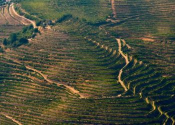Governo chumba Parque Eólico de Torre de Moncorvo
