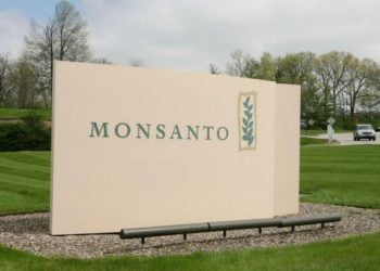 Verdes não querem hotéis em Monsanto