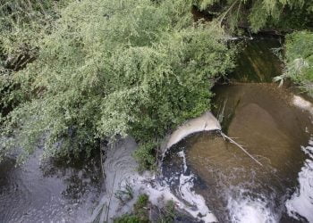 Empresas suinícolas suspeitas de descargas para ribeira de Fagundo