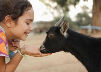 Monte Selvagem reabre portas em janeiro
