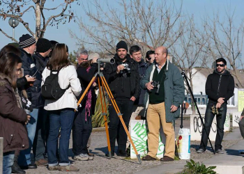 Seixal promove saída para observação de aves ribeirinhas no final do mês