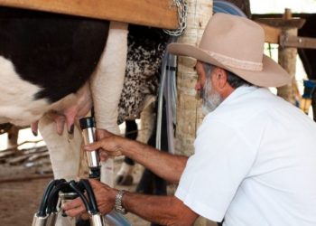 Governo dos Açores concede apoio extraordinário aos produtores de leite