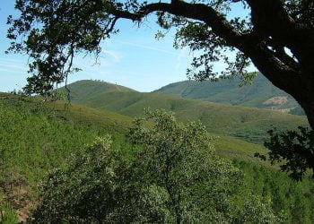 Câmara de Penamacor diz que caça na Malcata é favorável para o concelho