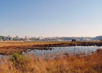 Quercus pede parecer sobre “Marés Vivas”