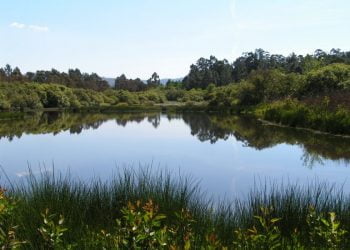 Portugal com 80% das zonas húmidas ameaçadas
