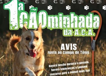 1.ª “Cãominhada” convida donos e seus cães para passeio pela “Serra” de Avis
