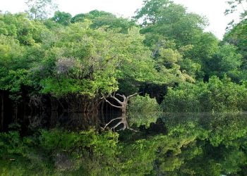 Conduta obsoleta contamina Amazónia